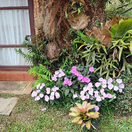 Sitio Mae Terra 호텔 Afonso  외부 사진